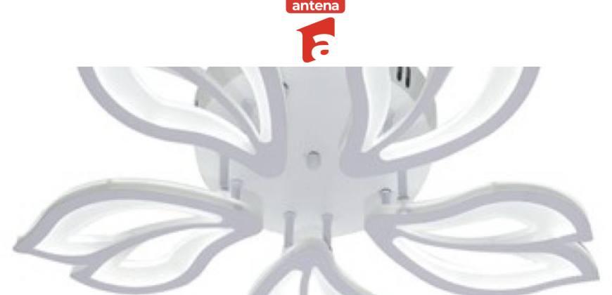 Cel mai mic pret - Alessandro Design