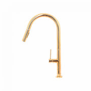 Kuchynská batéria s extrahovateľnou sprchou, sanitárnou mosadzou, zlatom, CF2043