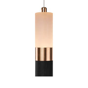 LED ADAM, 14W, akrylové a kovové, čierne so zlatým/horúcim/neutrálnym svetlom