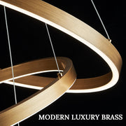 Závesný LED luster, ANINA, 34W, 1 kruh, priemer 49 cm, studené/teplé/neutrálne svetlo 3000K/4000K/6000K, stmievateľné, lesklá zlatá biela, nastaviteľná výška, kov a akryl