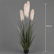 Aranjament decorativ cu 4 fire, Stuf artificial în ghiveci, 200cm, Verde