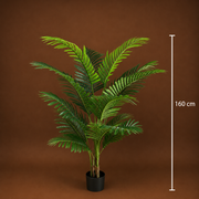 Decorațiune Palmier Kentia, 3 tulpini, Plastic, 17 frunze, 160 cm, Verde