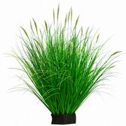 Okrasná rastlina z umelej trávy Foxtail, 67 cm, s 25 koreninami, zelená a biela, bez črepníka