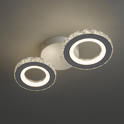 LED luster s diaľkovým ovládaním a krištáľom NOVA ROTONDA 29W, 2 kruhy, studené/teplé/neutrálne svetlo, biela