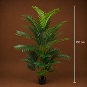 Decorațiune Palmier Kentia, 3 tulpini, Plastic, 30 frunze, 190 cm, Verde