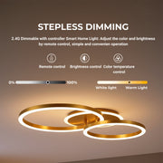 LED luster s diaľkovým ovládaním RINOVA 66W, 2 kruhy, studené/teplé/neutrálne svetlo, stmievateľné, lesklé zlato