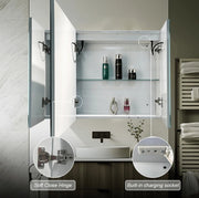 Theresa Wardrobe s LED zrkadlom DBP125 100x70 šedá