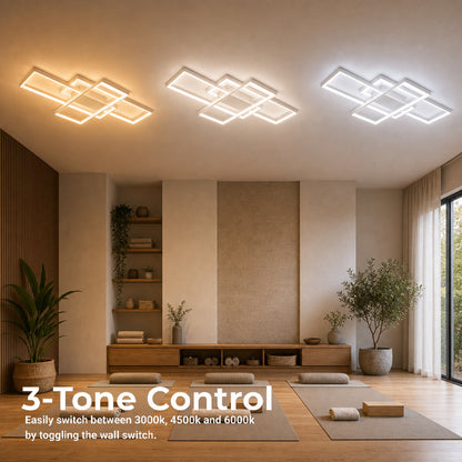 LT500-3WH — LT500-3WH - 4. 3-TONE CONTROL.jpg