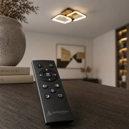 LT808_2BK — LT808_2BK - 2. REMOTE SHOW.jpg