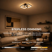 LT808_2BK — LT808_2BK - 3. STEPLESS DIMMING.jpg