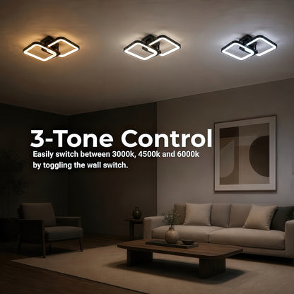 LT808_2BK — LT808_2BK - 4. 3-TONE CONTROL.jpg