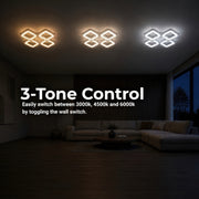 LT808_4WH — LT808_4WH - 4. 3-TONE CONTROL.jpg
