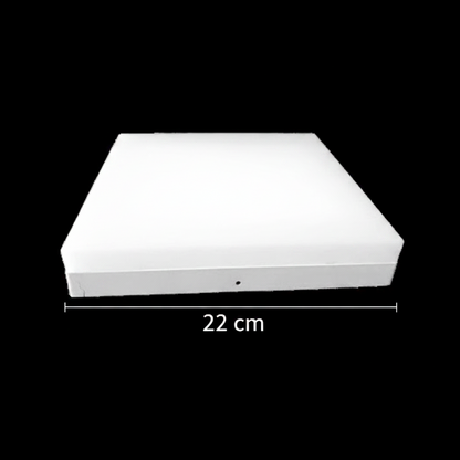 Plafoniera LED PL200/12P 19W Lumina Rece 6000k Alb Plafoniere LED Default Title Alessandro Design