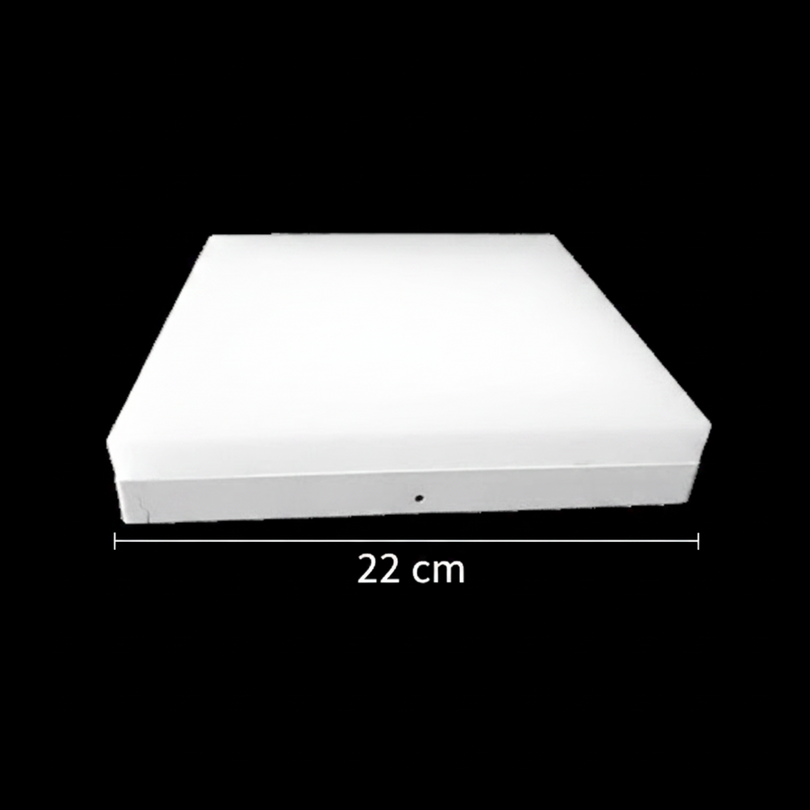 Plafoniera LED PL200/12P 19W Lumina Rece 6000k Alb Plafoniere LED Default Title Alessandro Design