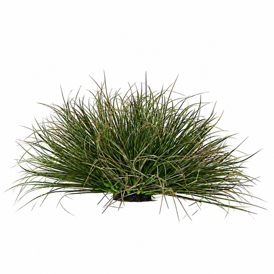 Planta Artificială Tufă de Iarbă Tip Ceapă Curbată, 28 cm, Densitate Redusă, Verde Închis, Fara Ghiveci