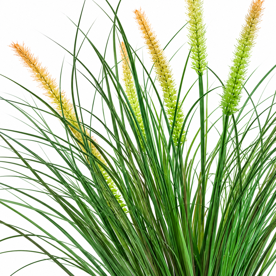 Okrasná tráva s umelým líščím chvostom, 60 cm, so 7 koreninami, zelená a ružová, bez črepníka