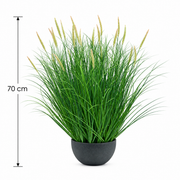 Umelá rastlina, črepníková okrasná tráva, 70 cm, s 25 koreninami, zelená a ružová