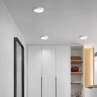 Okrúhle LED stropné svietidlo, 24 W, 17 cm, 6000 K, biely kov – studené svetlo