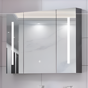Theresa Wardrobe s LED zrkadlom DBP125 100x70 šedá