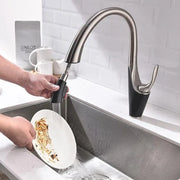 Kuchynská batéria s extrahovateľnou sprchou, sanitárnou mosadzou, chrómom, W058