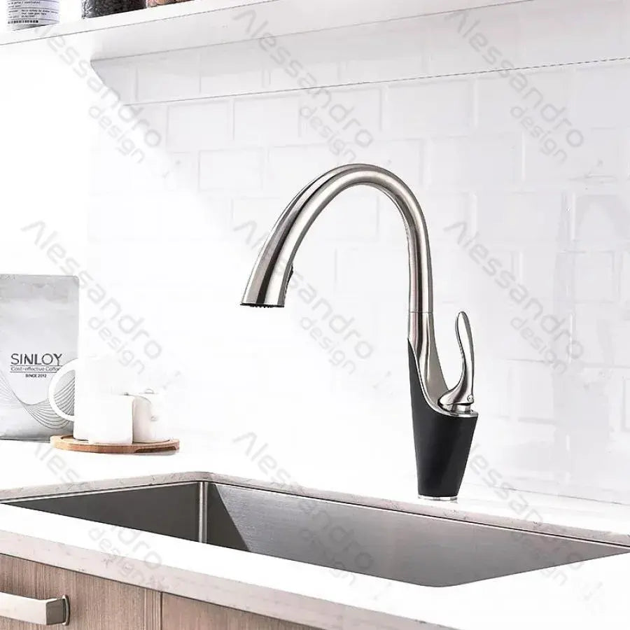 Kuchynská batéria s extrahovateľnou sprchou, sanitárnou mosadzou, chrómom, W058