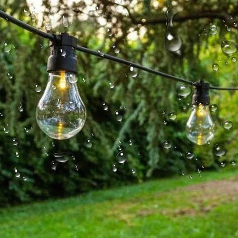 LED pásma 12W/m 24V 10M IP20 6000K