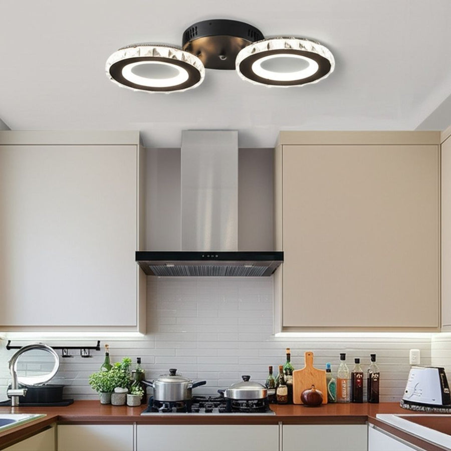 Lust Led Nova Rovon s kryštálmi, diaľkovým ovládaním, 2 svetelnými zdrojmi, 29W, čiernou a nerezou