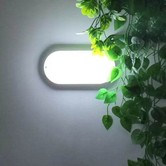 LED stropné svietidlo FANTAS oválne 8W 17cm biele exteriérové LED stropné svietidlá IP65 Predvolený názov Alessandro Design