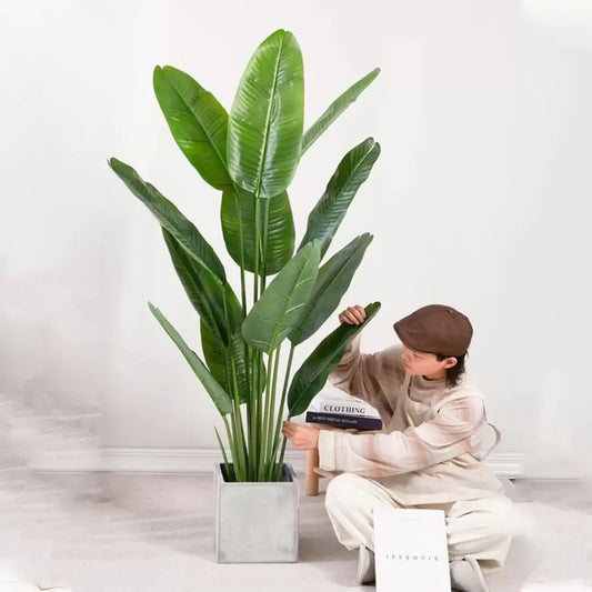 Umelý priechod raja (Strelitzia Nicolai), 16 listov, žiadne hrnce, 180 cm zelená