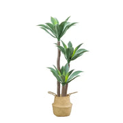 Frangan Dracaena Artificial Plant, No Pot, 180 cm zelená