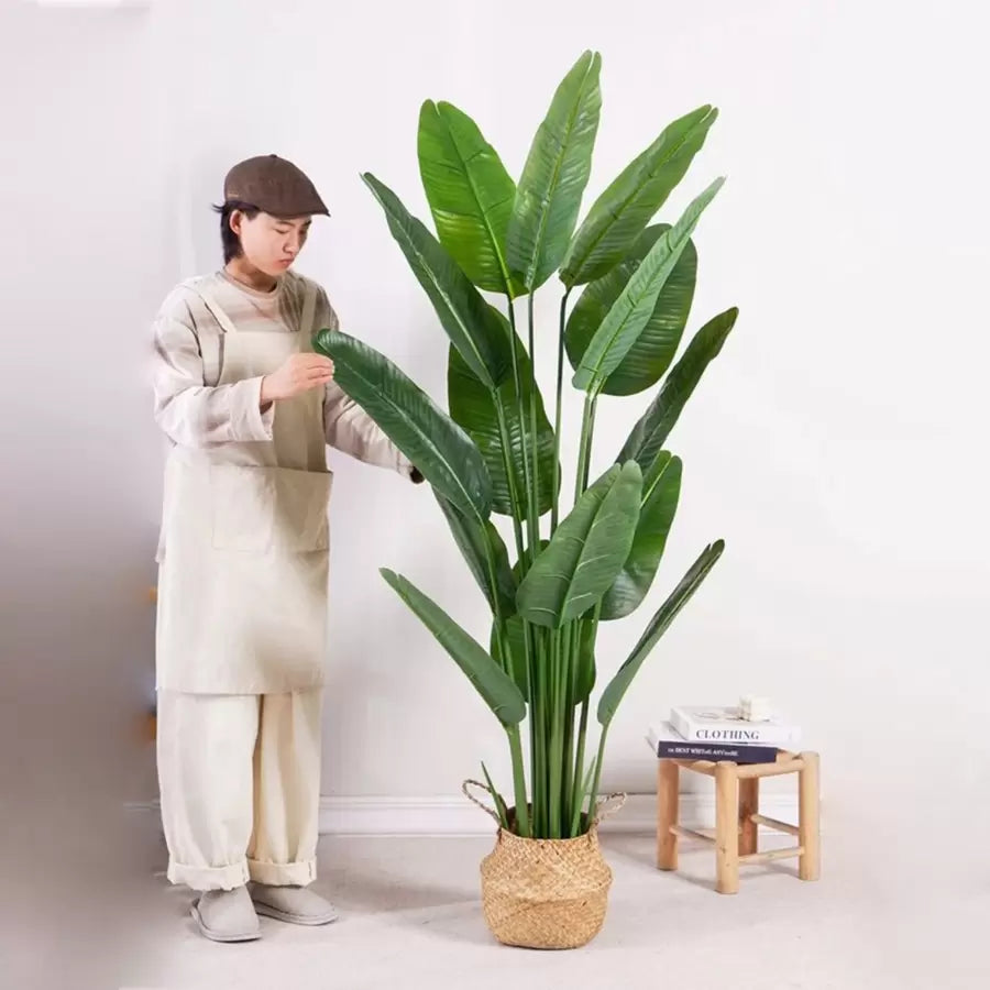Umelý priechod raja (Strelitzia Nicolai), 11 listov, žiadne hrnce, 160 cm zelená