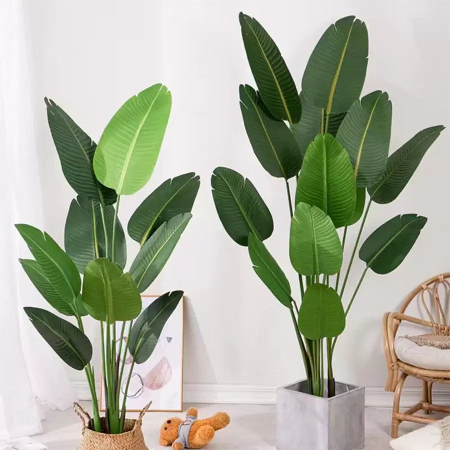 Umelý priechod raja (Strelitzia Nicolai), 11 listov, žiadne hrnce, 160 cm zelená