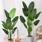 Umelý priechod raja (Strelitzia Nicolai), 16 listov, žiadne hrnce, 180 cm zelená